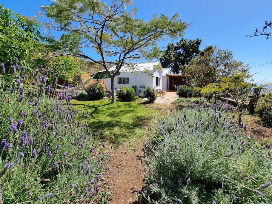 Casa Aram Lapalmahouse Villa Tijarafe Eksteriør billede